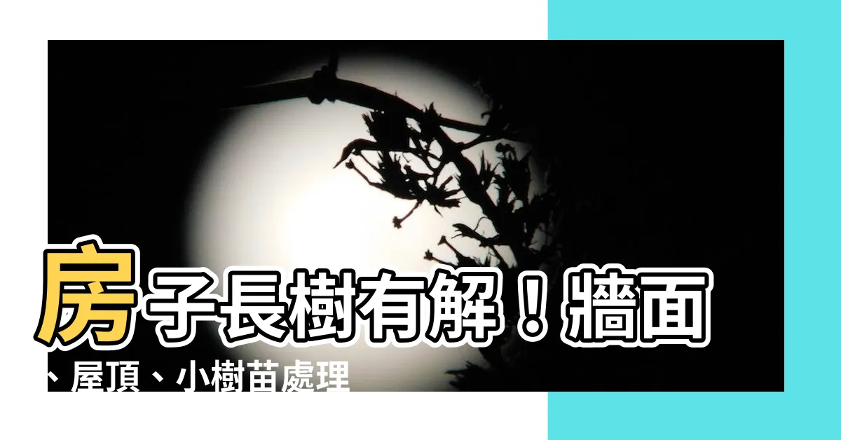 【房子長樹】房子長樹有解！牆面、屋頂、小樹苗處理方法一次告訴你
