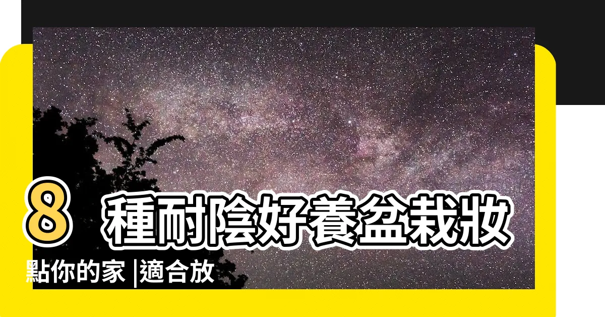 【適合浴室的植物】8種耐陰好養盆栽妝點你的家 |適合放在浴室廁所的植物 |適合放在浴室廁所的植物 |