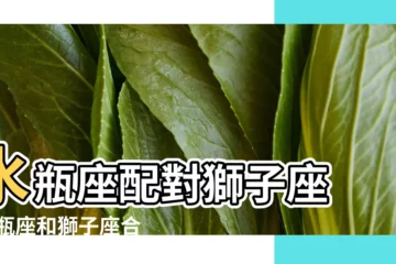 【獅子座跟水平座相配嗎】水瓶座配對獅子座 |水瓶座和獅子座合不合水瓶座與獅子座配嗎 |水瓶座和獅子座配嗎 |