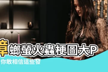 【蟑螂螢火蟲梗圖】蟑螂螢火蟲梗圖大PK：你敢相信這些發光蟑螂真的存在？