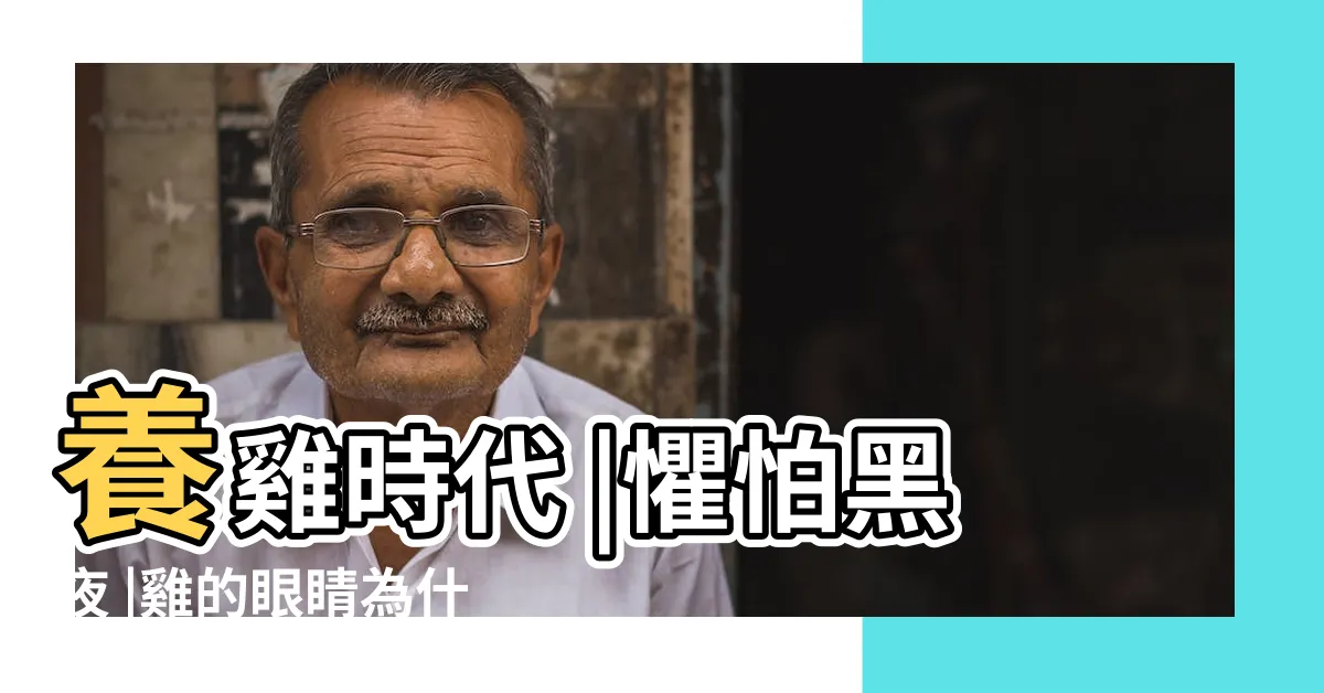 【雞晚上看不到】養雞時代 |懼怕黑夜 |雞的眼睛為什麼晚上看不見東西 |