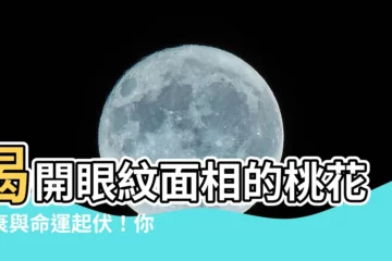 【眼紋面相】揭開眼紋面相的桃花盛衰與命運起伏！你也有這些面相特徵嗎？