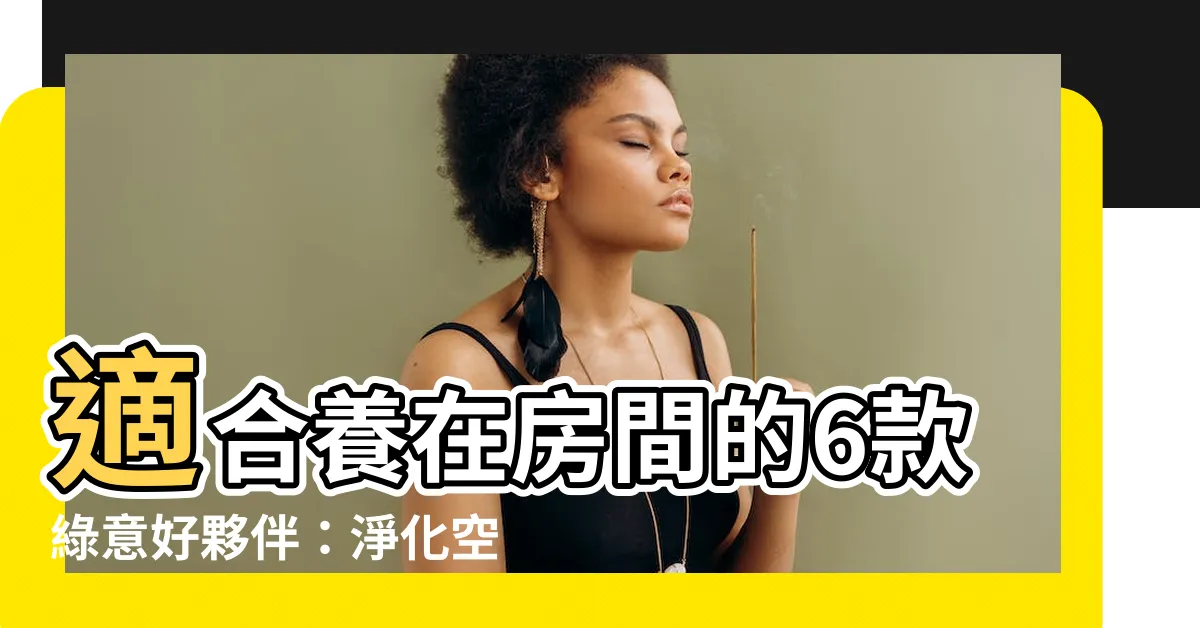 【適合養在房間的植物】適合養在房間的6款綠意好夥伴：淨化空氣、佈置美居