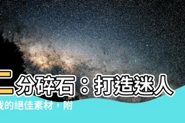 【二分碎石】二分碎石：打造迷人盆栽的絕佳素材，附底網優惠！