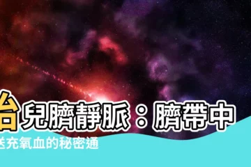 【臍靜脈 充氧血】胎兒臍靜脈：臍帶中輸送充氧血的秘密通道