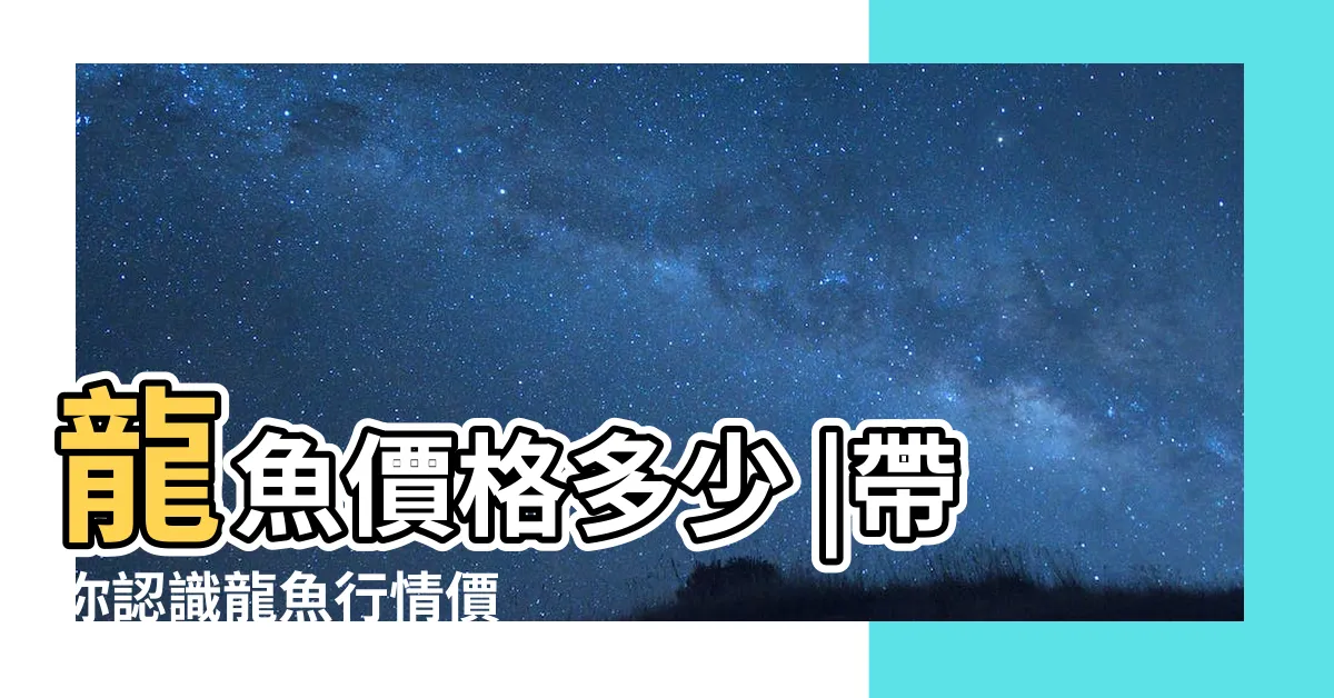 【金龍價格】龍魚價格多少 |帶你認識龍魚行情價 |