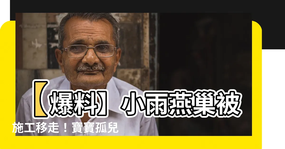 【小雨燕巢】【爆料】小雨燕巢被施工移走！寶寶孤兒成員淚灑雲天！