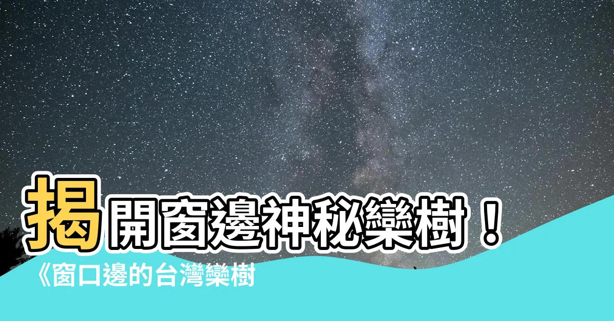 【窗口邊的台灣欒樹 預習單】揭開窗邊神秘欒樹！《窗口邊的台灣欒樹》預習單帶你穿梭時空