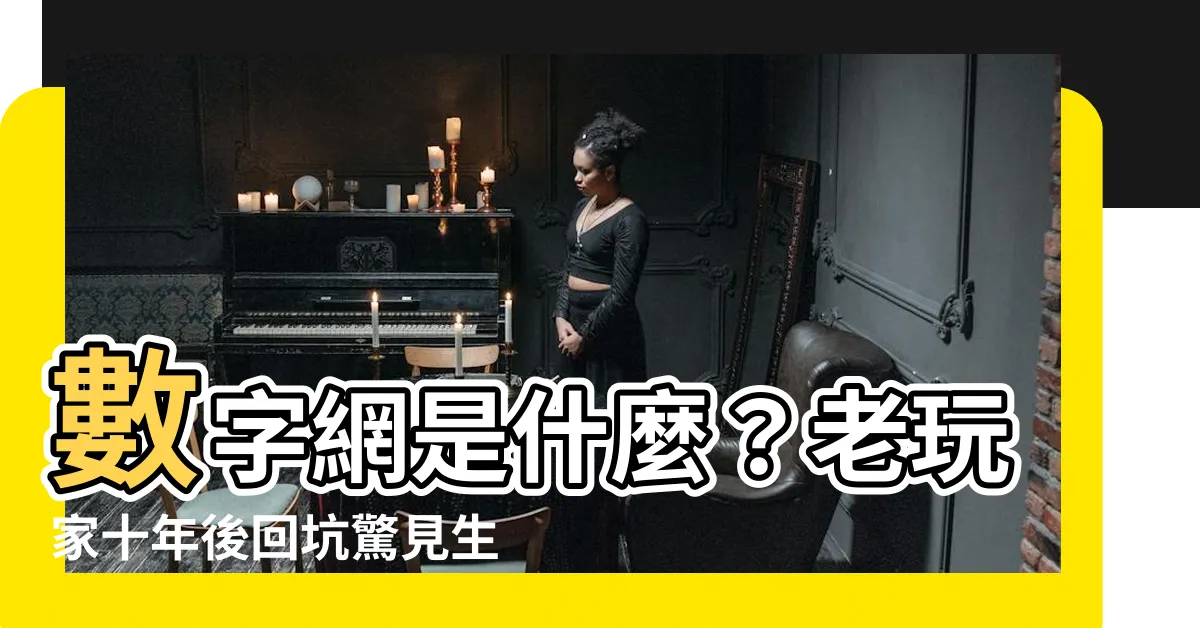 【數字網是什麼】數字網是什麼？老玩家十年後回坑驚見生態大變革