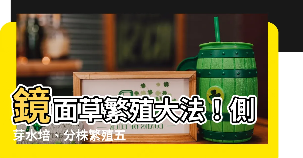 【鏡面草繁殖】鏡面草繁殖大法！側芽水培、分株繁殖五大秘訣