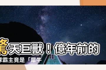 【犀牛】驚天巨獸！億年前的地球霸主竟是「犀牛」？