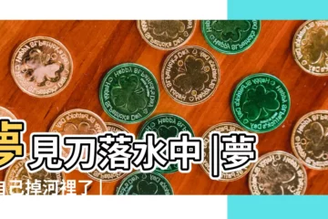 【夢見菜刀掉河裏了】夢見刀落水中 |夢見自己掉河裡了 |夢見掉水裡 |