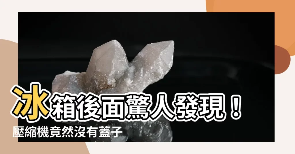 【冰箱後面】冰箱後面驚人發現！壓縮機竟然沒有蓋子，後果究竟有多嚴重？
