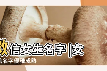 【最好聽的女生微信網名】微信女生名字 |女微信名字優雅成熟 |優美的女生微信名字 |