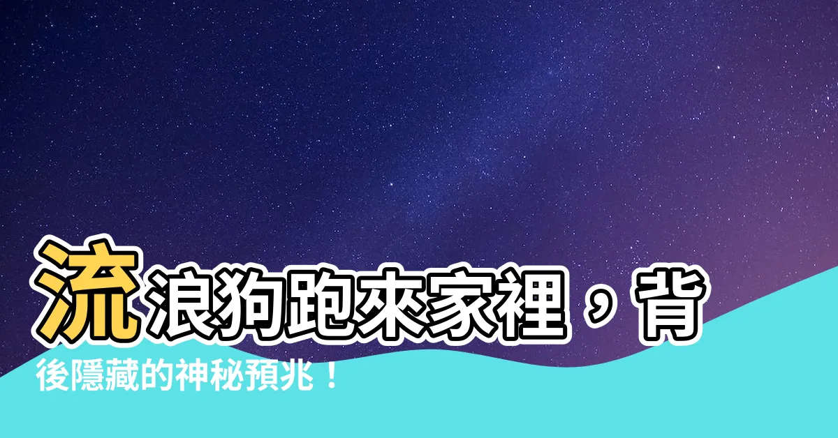【流浪狗跑來家裡】流浪狗跑來家裡，背後隱藏的神秘預兆！