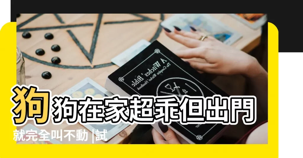 狗狗在家超乖但出門就完全叫不動 |試試這個新方法讓愛犬 |乖乖在家不出門什麼意思 |【乖乖在家不出門猜生肖】