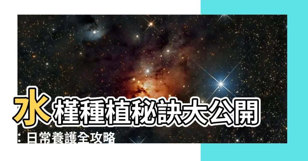 【水槿種植】水槿種植秘訣大公開：日常養護全攻略