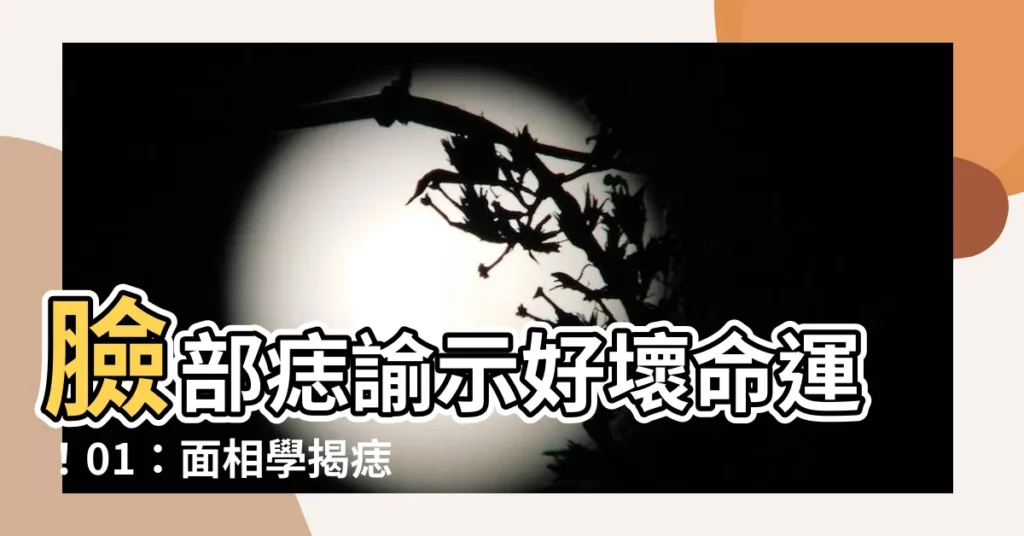 【臉部痣的好壞】臉部痣諭示好壞命運！01：面相學揭痣相吉凶命運