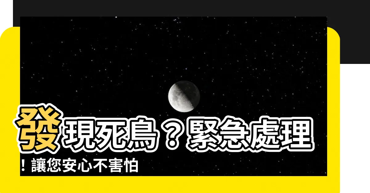 【發現死鳥】發現死鳥？緊急處理！讓您安心不害怕