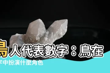 【鳥代表數字】鳥人代表數字：鳥在數字中扮演什麼角色？
