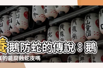 【養鵝防蛇】養鵝防蛇的傳説：鵝屎真的能腐蝕蛇皮嗎？