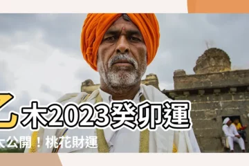 【乙木2023運勢】乙木2023癸卯運勢大公開！桃花財運事業一次掌握