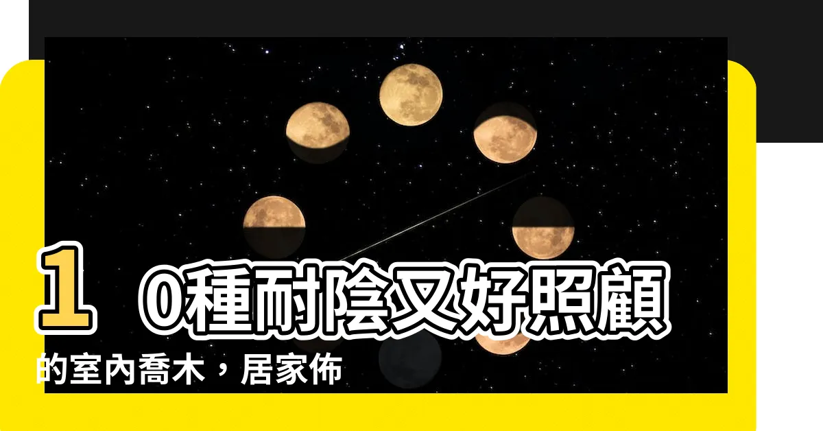【室內喬木】10種耐陰又好照顧的室內喬木，居家佈置超有氣勢！