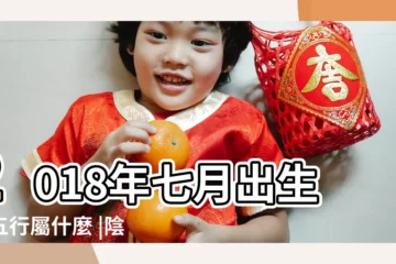 【2018陰曆7月出生女孩五行屬什麼】2018年七月出生的五行屬什麼 |陰曆2018年農曆七月五行屬什麼 |五行缺什麼 |