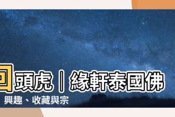 【回頭虎】回頭虎｜緣軒泰國佛牌｜興趣、收藏與宗教信仰的交會