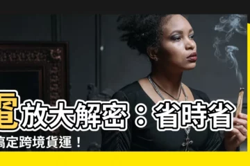 【電放 意思】電放大解密：省時省力搞定跨境貨運！