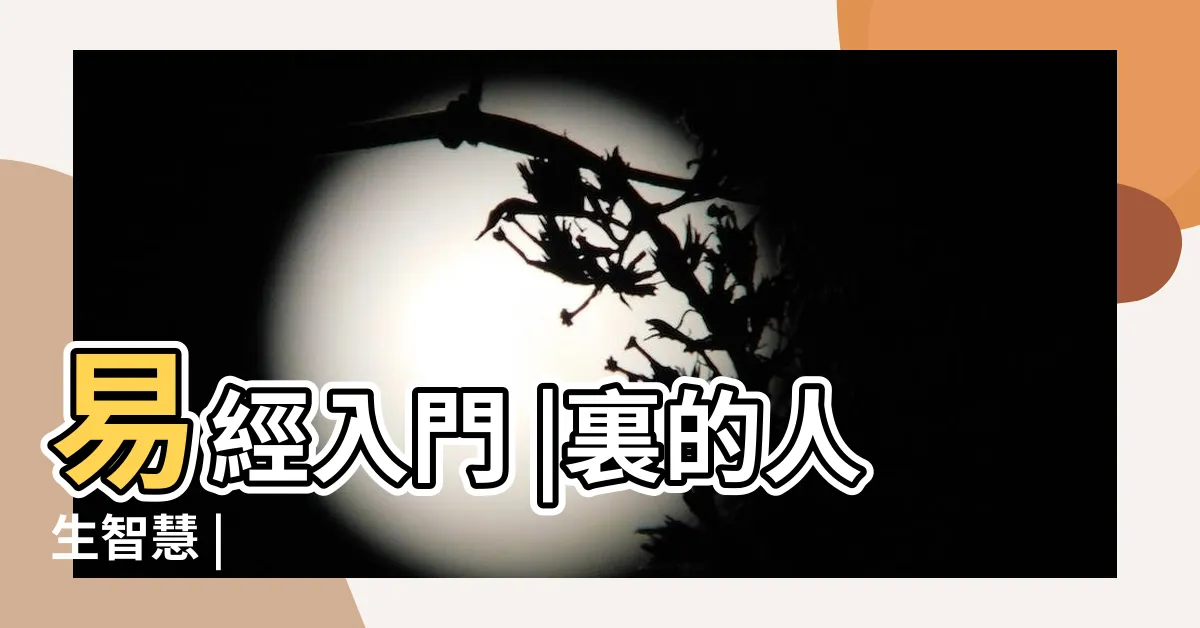 【坤卦解讀】易經入門 |裏的人生智慧 |