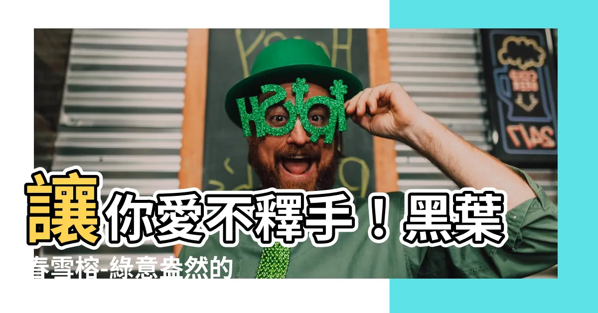 【黑葉春雪榕】讓你愛不釋手！黑葉春雪榕-綠意盎然的迷人觀葉植物