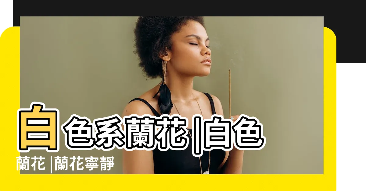 【白色蘭花】白色系蘭花 |白色蘭花 |蘭花寧靜 |
