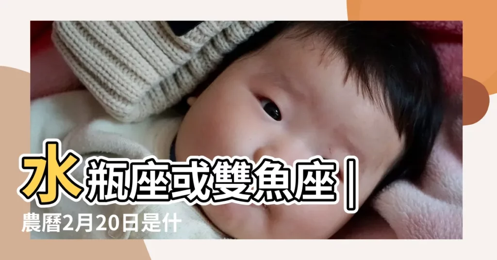水瓶座或雙魚座 |農曆2月20日是什麼星座 |1991年2月20號是什麼星座 |【1991年2月20日啥星座】