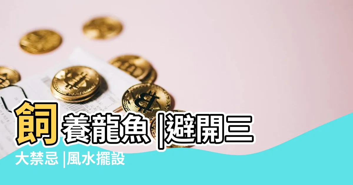 【養龍魚禁忌】飼養龍魚 |避開三大禁忌 |風水擺設有講究 |