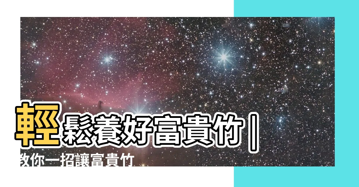 【發財竹變黃】輕鬆養好富貴竹 |教你一招讓富貴竹 |預防方法 |