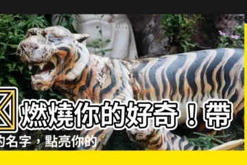 【帶火的名字】🔥燃燒你的好奇！帶火的名字，點亮你的男子氣概！