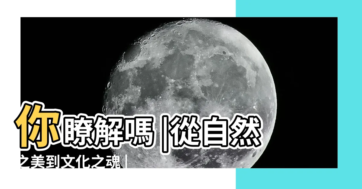 【竹寓意】你瞭解嗎 |從自然之美到文化之魂 |竹子在中國文化中有什麼特殊的象徵意義 |