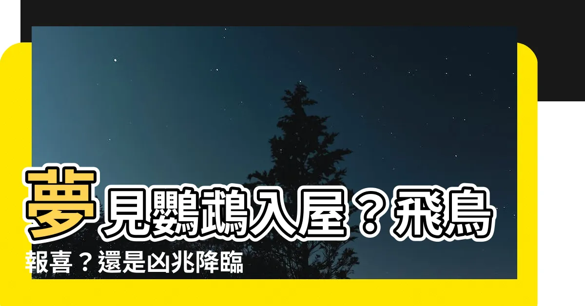 【夢見鸚鵡入屋】夢見鸚鵡入屋？飛鳥報喜？還是凶兆降臨？