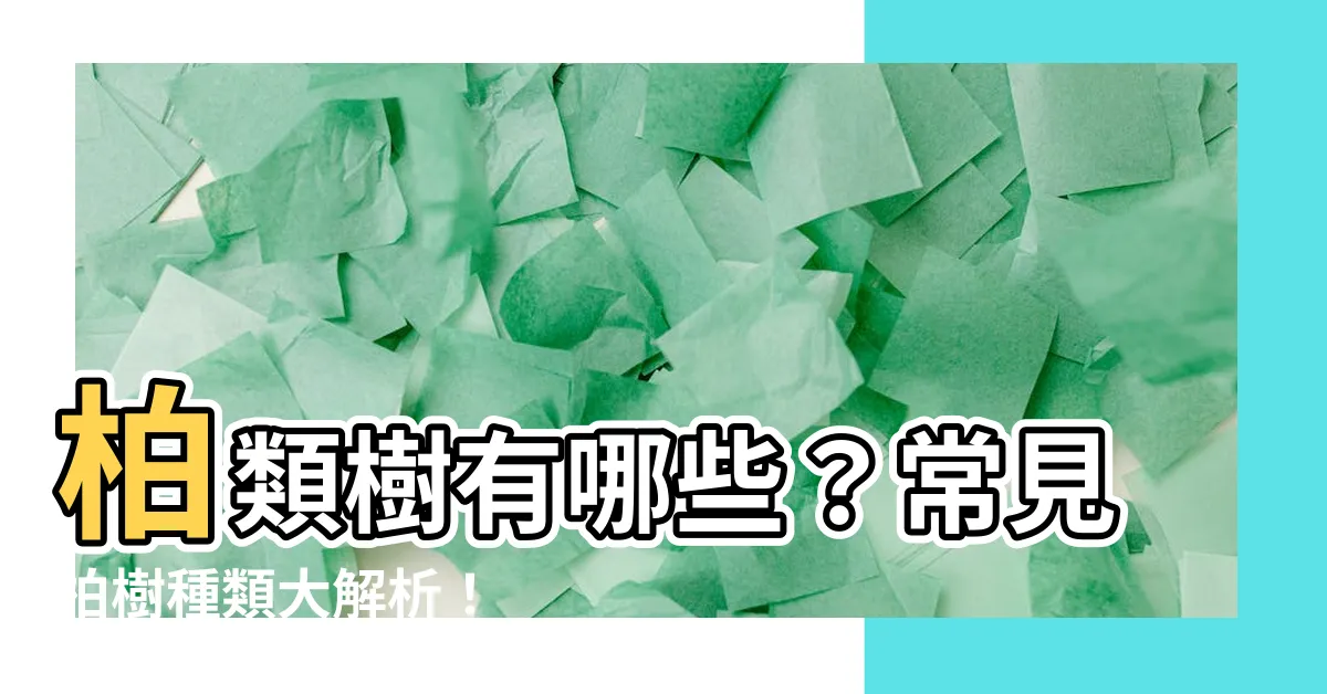 【柏類樹有哪些】柏類樹有哪些？常見柏樹種類大解析！