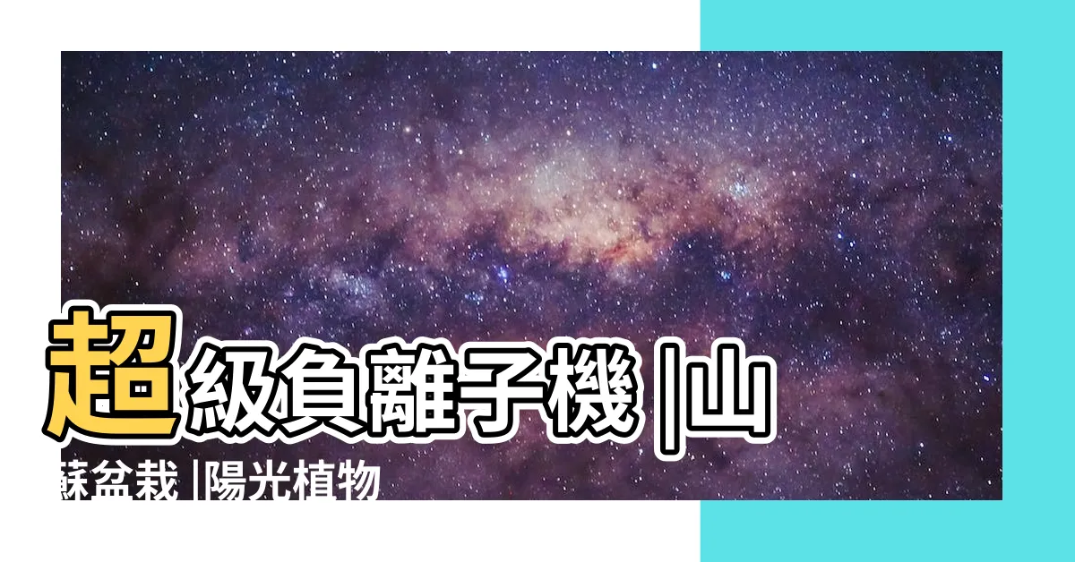 【山蘇 風水】超級負離子機 |山蘇盆栽 |陽光植物 |