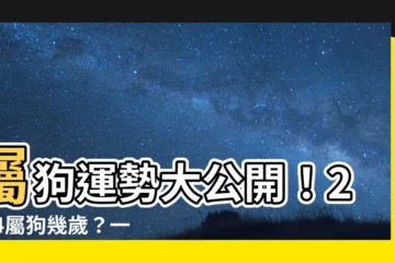 【屬狗幾歲】屬狗運勢大公開！2024屬狗幾歲？一文看懂屬狗今年歲數和運勢