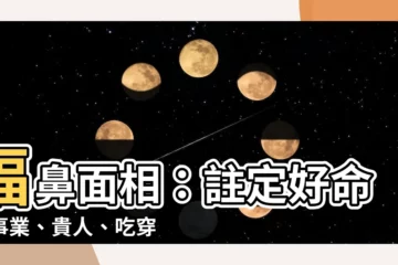 【福鼻 面相】福鼻面相：註定好命，事業、貴人、吃穿不愁