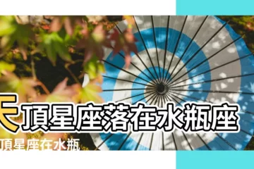 【天頂星座落在水瓶】天頂星座落在水瓶座 |天頂星座在水瓶座 |你一生追求的目標 |