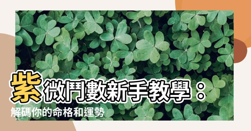 【命格怎麼看】紫微鬥數新手教學：解碼你的命格和運勢！