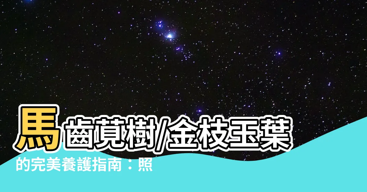 【馬齒莧樹/金枝玉葉】馬齒莧樹/金枝玉葉的完美養護指南：照顧、種植和繁殖