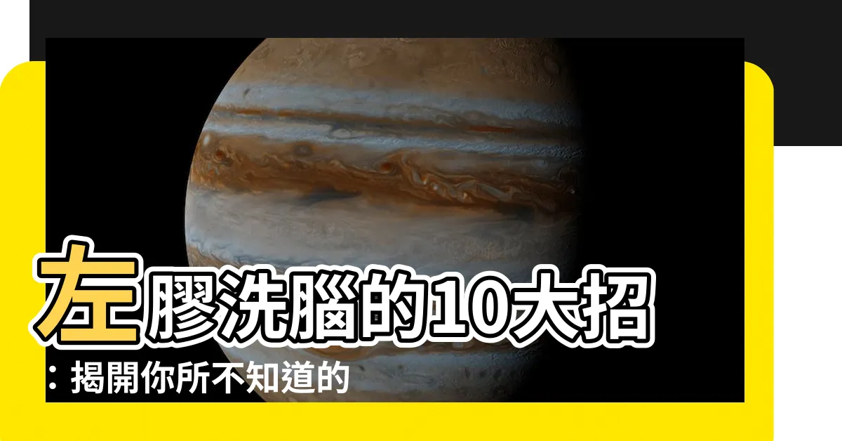 【左逼】左膠洗腦的10大招：揭開你所不知道的左逼騙術！