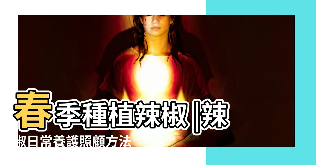 【種植辣椒注意事項】春季種植辣椒 |辣椒日常養護照顧方法 |這5項注意事項你做到了嗎 |