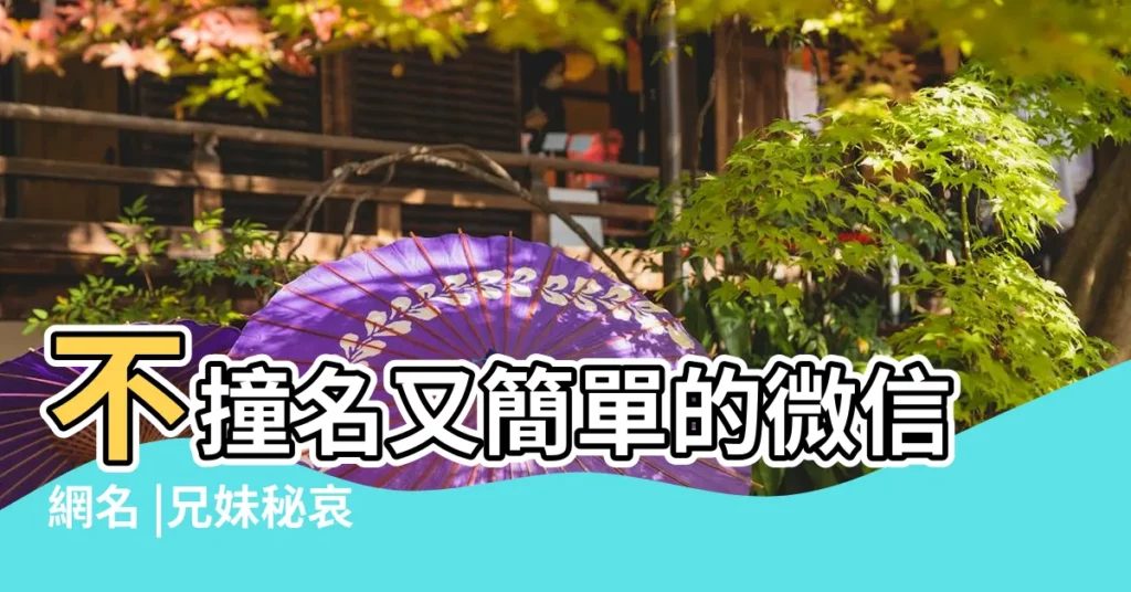 不撞名又簡單的微信網名 |兄妹秘哀 |火影忍者手遊 |【帶忍微信網名】