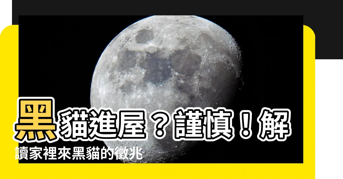 【家裡來黑貓】黑貓進屋？謹慎！解讀家裡來黑貓的徵兆與化解方法
